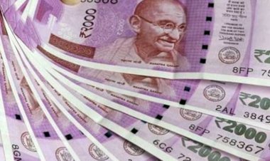 Gift to Central Employees : केंद्रीय कैबिनेट ने की केंद्रीय कर्मचारियों के DA में 3 फीसदी की बढ़ोतरी, 1 जुलाई 2021 से लागू होगी वृद्धि, जानिए अब कितनी सैलरी मिलेगी आपको