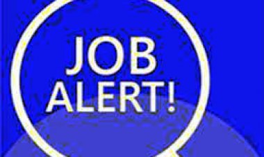 Job in Automobile Company : रोजगार की तलाश है तो डॉक्यूमेंट के साथ तैयार रहिए, 15 नवंबर को आईटीआई में सुजुकी मोटर्स करेगी विभिन्न पदों पर भर्ती