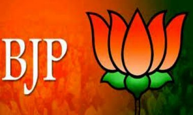 भाजपा महिला मोर्चा की 21 जिला अध्यक्षों की घोषणा, प्रदेश अध्यक्ष माया नारोलिया ने जारी की सूची