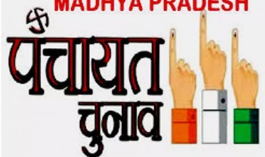 त्रिस्तरीय पंचायत चुनाव : दूसरे चरण का मतदान 1 जुलाई को, 47 जिलों की 106 जनपद पंचायतों की 7655 ग्राम पंचायतों में होगा चुनाव