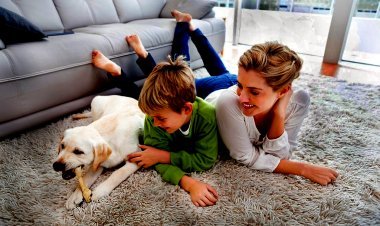 श्वान पालना है तो नगर निगम में करवाना होगा श्वान का पंजीयन और लाइसेंस भी लेना होगा लेकिन 2 से ज्यादा पालने की नहीं मिलेगी अनुमति