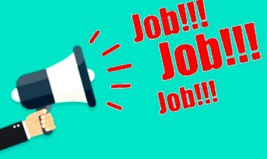 जिला स्तरीय रोजगार मेला 28 फरवरी को, एक दर्जन कंपनियां करेंगी नियमित पदों पर करेंगी भर्ती, जल्दी कीजिए समय गुजर न जाए