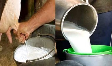 फुटकर दूध विक्रेताओं का ऐलान : 1 मार्च से नहीं, 1 अप्रैल से बढ़ेंगे दूध के दाम, 2 से 3 रुपए प्रति लीटर की वृद्धि संभावित, ग्राहक दुविधा में, प्रशासन चुप्प