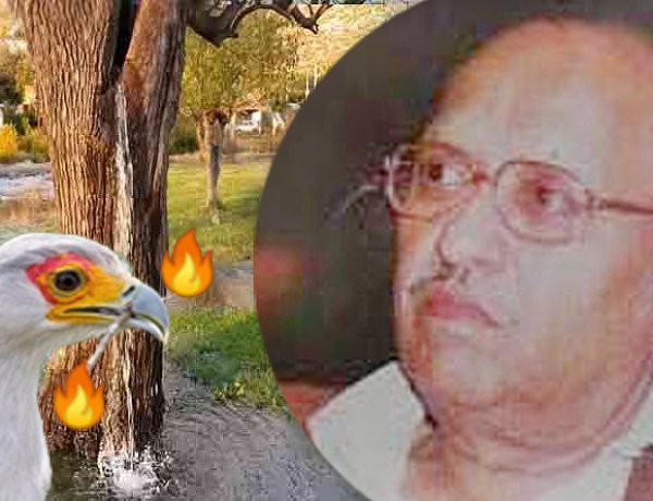 कवि और कविता : 'पानी के पेड़ पर जब बसेरा करेंगे आग के परिंदे...' -चंद्रकांत देवताले