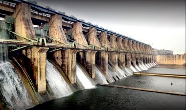 बिग ब्रेकिंग : बेतवा नदी में जलस्तर बढ़ा जलस्तर, चारा काटने गए 6 लोग फंसे, पुलिस ने शुरू किया रेस्क्यू ऑपरेशन