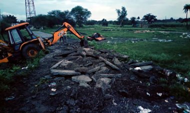 सेजावता में बिना अनुमति काट दी कॉलोनी, सीमेंट-कांक्रीट की सड़क भी बना ली, कलेक्टर को पता चला तो चल गया बुलडोजर