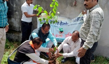 प्रधानमंत्री मोदी के 73वें जन्‍मदिन के अवसर पर 73 प्रजातियों के 250 पौधों का रोपण और संरक्षण करना सराहनीय- भरत बैरागी