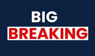 ताल की पूर्व नगर परिषद अध्यक्ष श्वेता पितलिया आर्थिक अनियमितता के मामले में दोषी करार, 2 साल नहीं लड़ सकेंगी कोई चुनाव