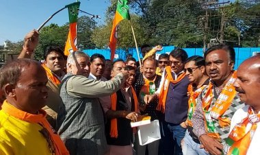 गुजरात में भाजपा की ऐतिहासिक जीत का रतलाम में मना जश्न, आतिशबाजी कर एक-दूसरे का मुंह मीठा कराया