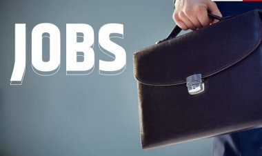 ESIC Recruitment 2023: प्रोफेसर पद पर निकली भर्ती, 2 लाख से ज्यादा है महीने की सैलरी