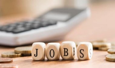 पटवारी के पद पर चल रही है बंपर भर्ती, ये योग्यता हो तो आप भी पा सकते हैं सरकारी नौकरी