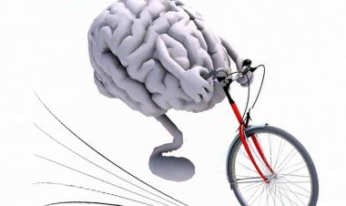 व्यंग्य : निराधार बुद्धिजीवी ! क्या आप भी बुद्धिजीवी हैं, यदि हैं तो आप भी इसका प्रमाण लेकर आइये