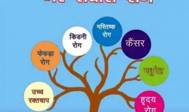 हायपरटेंशन, कार्डियो वास्‍कुलर डीसीज, डायबिटीज व कैंसर जैसे रोगों की स्‍क्रीनिंग में रतलाम मध्य प्रदेश में दूसरे स्‍थान पर