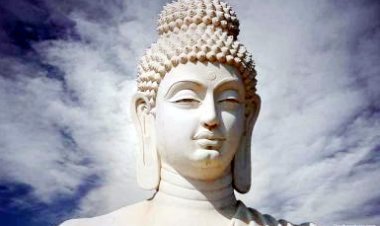 बुद्ध पूर्णिमा 5 को, पशु वध करना और मटन विक्रय करना प्रतिबंधित रहेगा, उल्लंघन करने पर होगी कार्रवाई