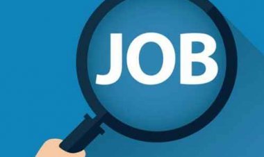 Job Alert ! जिला स्तरीय रोजगार मेला 16 अक्टूबर को सरकारी ITI में, 12 कम्पनियां करेंगी विभिन्न पदों पर भर्ती