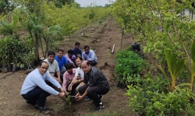 बड़ा काम : रॉयल कॉलेज परिसर के 65 बीघे में रोपे जा रहे फलों वाले 1000 पौधे, ताकि जीवन सुखी और संतुलित रहे