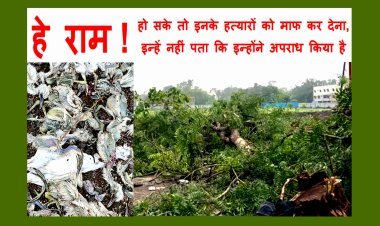 cutting trees in Gandhi Garden : गांधी उद्यान में पेड़ काटने पर अज्ञात व्यक्ति के खिलाफ केस दर्ज, पत्रकार अदिति मिश्रा की शिकायत पर हुई कार्रवाई