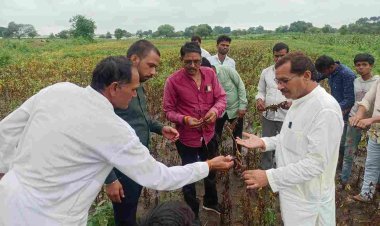 भारी बारिश से छत्री गांव का डेम ओवरफ्लो, कई घरों में पानी घुसा, 150 बीघा जमीन जलमग्न, विधायक दिलीप मकवाना ने लिया जायजा