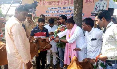 जनसंपर्क के पहले कांग्रेस प्रत्याशी डिंडोर ने की गौमाता की पूजा, मिल रहा ग्रामीणों का अपार जनसमर्थन