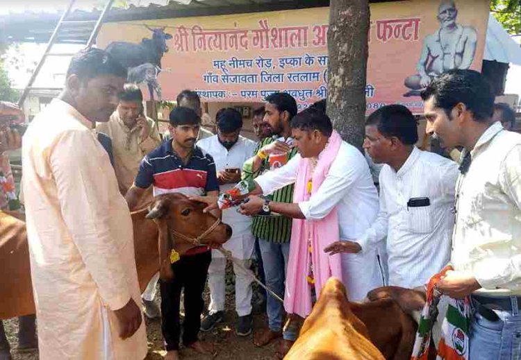 जनसंपर्क के पहले कांग्रेस प्रत्याशी डिंडोर ने की गौमाता की पूजा, मिल रहा ग्रामीणों का अपार जनसमर्थन