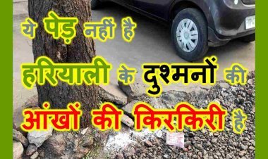 हरियाली के दुश्मनों ने सड़क की आड़ में पेड़ों की हत्या की कर ली थी तैयारी, पर्यावरण प्रेमियों ने मौके पर पहुंचकर रुकवाया