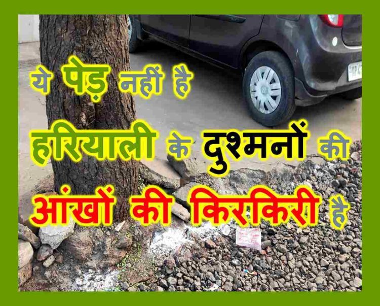 हरियाली के दुश्मनों ने सड़क की आड़ में पेड़ों की हत्या की कर ली थी तैयारी, पर्यावरण प्रेमियों ने मौके पर पहुंचकर रुकवाया