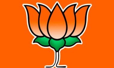 निर्वाचन। भाजपा के रतलाम जिले के 20 मंडल अध्यक्षों के नाम घोषित, निर्वाचन अधिकारी डॉ. सुमेर सिंह सोलंकी ने जारी की सूची