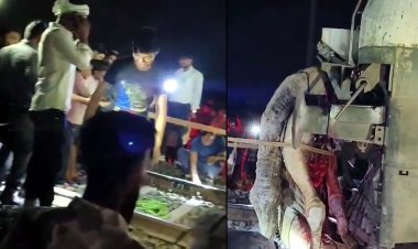 ब्रेकिंग खबर : कचनारा-ढोढर के बीच जोधपुर-इंदौर एक्सप्रेस ट्रेन से टकराया ऊंट, करीब एक घंटे लेट हुई ट्रेन, देखें हादसे का वीडियो