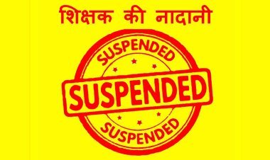 यह कैसी नादानी ? शिक्षक ने जनजातीय समाज से कर दी मतदान नहीं करने की अपील, वीडियो हुआ वायरल तो कलेक्टर ने कर दिया निलंबित