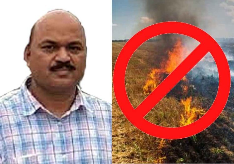 यह रोक जरूरी है : रतलाम जिले में नरवाई जलाने पर रोक, कलेक्टर ने जारी किया आदेश, कहा- उल्लंघन किया तो कार्रवाई होगी