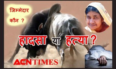 हादसा या हत्या ? सांड लड़ते हुए बुजुर्ग महिला पर गिरे, परिजन ऑपरेशन के लिए वडोदरा ले जाते उससे पहले ही वृद्धा ने तोड़ दिया दम