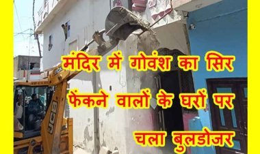 यह निंदनीय है : मंदिर परिसर में गोवंश का कटा सिर मिलने पर हिंदू संगठनों का हंगामा, दो आरोपी हिरासत में, दोनों के घरों पर चला बुलडोजर, देखें वीडियो...