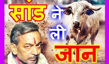 ऐसे कब तक जाएंगी जानें ? रतलाम में सांड के उत्पात ने ली युवक की जान, घटना से आक्रोशित लोगों ने शव सड़क पर रख किया चक्काजाम, जिम्मेदारों को जूड़ियां भी दिखाईं