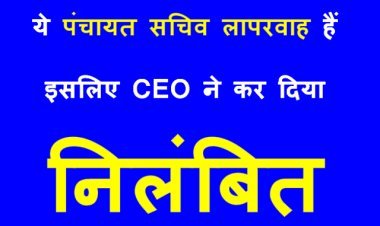 ये कैसे पंचायत सचिव ? 2.50 लाख रुपए आहरण के बाद भी नहीं बना सामुदायिक स्वच्छता परिसर, ऑनलाइन पासवर्ड दूसरे को बता दिया, इसलिए कर दिया निलंबित