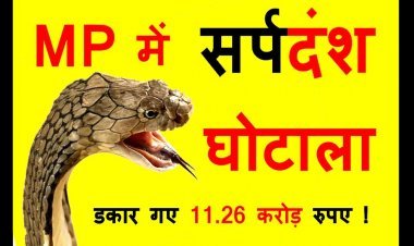 MP में सांप घोटाला ! सर्पदंश के मुआवजे के नाम पर डकार गए 11 करोड़ 26 लाख रुपए, एक व्यक्ति को तो 30 बार सांप ने डसा, हर बार 4 लाख रुपए हुए जारी