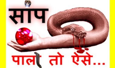 व्यंग्य : सांप पालो तो ऐसे पालो... -आशीष दशोत्तर