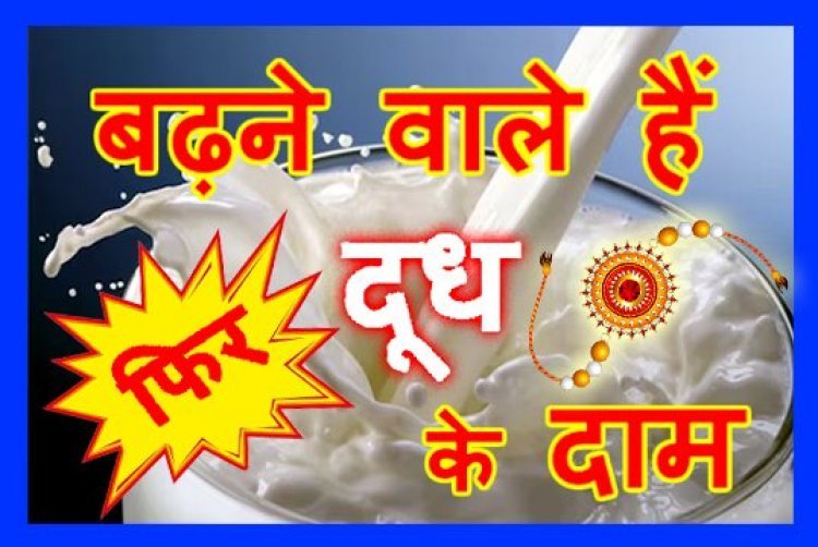 फिर बढ़ने वाले हैं दूध के दाम ! रतलाम में रक्षाबंधन पर्व से दाम 5 रुपए प्रति लीटर बढ़ाने का ऐलान, दूध उत्पादकों ने बैठक में लिया निर्णय