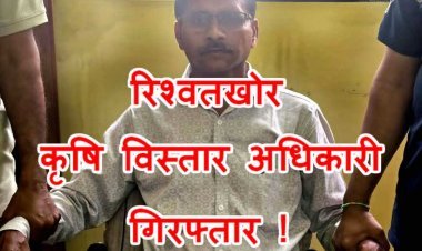 MP के रतलाम में कृषि विस्तार अधिकारी 10 हजार रुपए रिश्वत लेते गिरफ्तार, कीटनाशक व खाद-बीज दुकान का लाइसेंस देने के लिए मांगी थी घूस