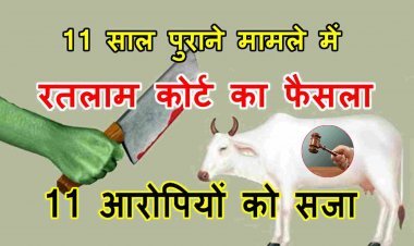 बड़ी खबर ! गाय की हत्या और गोमांस परिवहन मामले में 11 लोगों को सजा, 11 साल पुराने मामले में आया फैसला