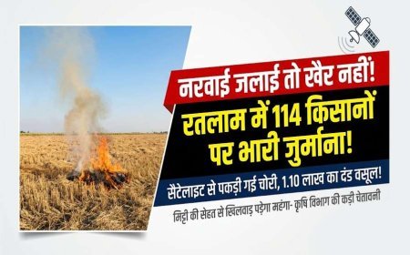 रतलाम में नरवाई जलाने वाले 114 किसानों पर भारी जुर्माना; अब तक 1.10 लाख वसूले, सैटेलाइट से रखी जा रही है पैनी नजर