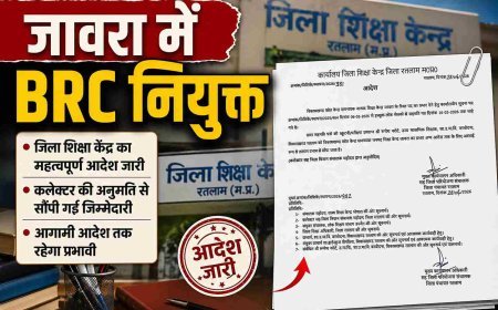 बड़ी खबर ! जावरा BRC की हुई नियुक्ति, जिला पंचायत CEO ने जारी किया आदेश, जानिए- किसे मिली यह महत्वपूर्ण जिम्मेदारी