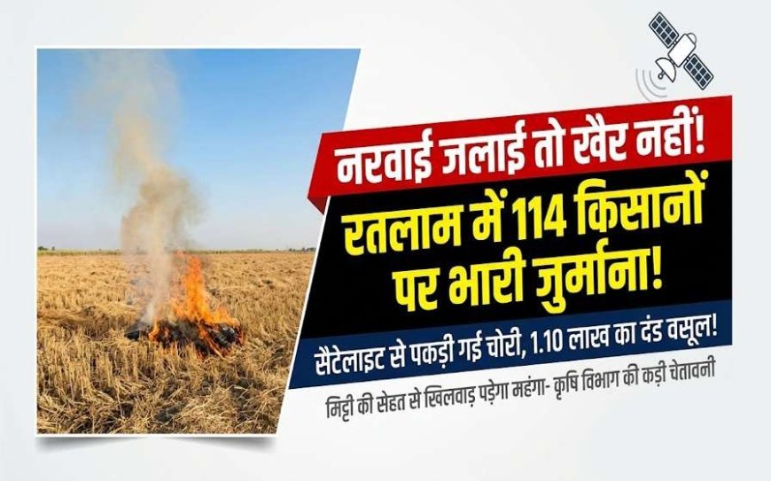 रतलाम में नरवाई जलाने वाले 114 किसानों पर भारी जुर्माना; अब तक 1.10 लाख वसूले, सैटेलाइट से रखी जा रही है पैनी नजर