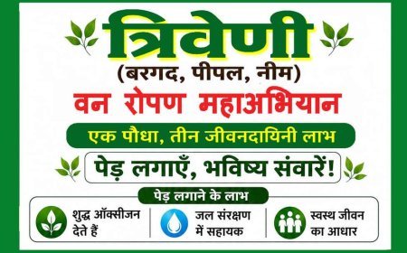 रतलाम में 'त्रिवेणी वन रोपण महाअभियान' 5 जुलाई से 12 अगस्त तक, अभियान का पोस्टर विमोचन और अहम बैठक कल