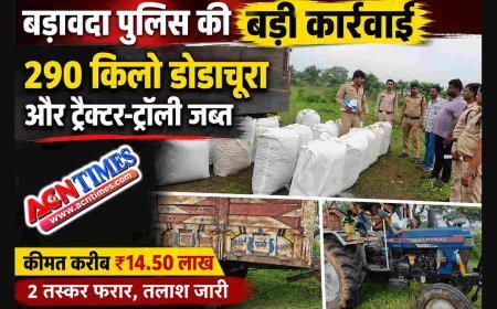 बड़ावदा पुलिस की बड़ी कार्रवाई, 290 किलो डोडाचूरा और ट्रैक्टर-ट्रॉली जब्त,  दो तस्कर फरार, 14.50 लाख रुपए है जब्त डोडाचूरा की कीमत