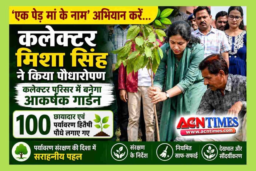 एक पेड़ मां नाम ! कलेक्टर मिशा सिंह और अधिकारियों ने कलेक्ट्रेट परिसर में रोपे 100 पौधे, छायादार और पर्यावरणीय महत्व के पौधों से विकसित होगा गार्डन