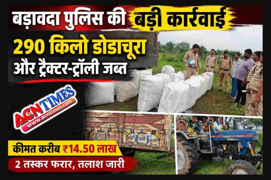 बड़ावदा पुलिस की बड़ी कार्रवाई, 290 किलो डोडाचूरा और ट्रैक्टर-ट्रॉली जब्त,  दो तस्कर फरार, 14.50 लाख रुपए है जब्त डोडाचूरा की कीमत