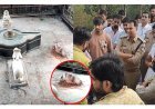 मंदिर से बजरंग बली की मूर्ति गायब, खंडित कर बावड़ी में फेंकने की आशंका, हिंदू संगठनों ने जताया आक्रोश