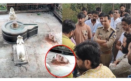 मंदिर से बजरंग बली की मूर्ति गायब, खंडित कर बावड़ी में फेंकने की आशंका, हिंदू संगठनों ने जताया आक्रोश