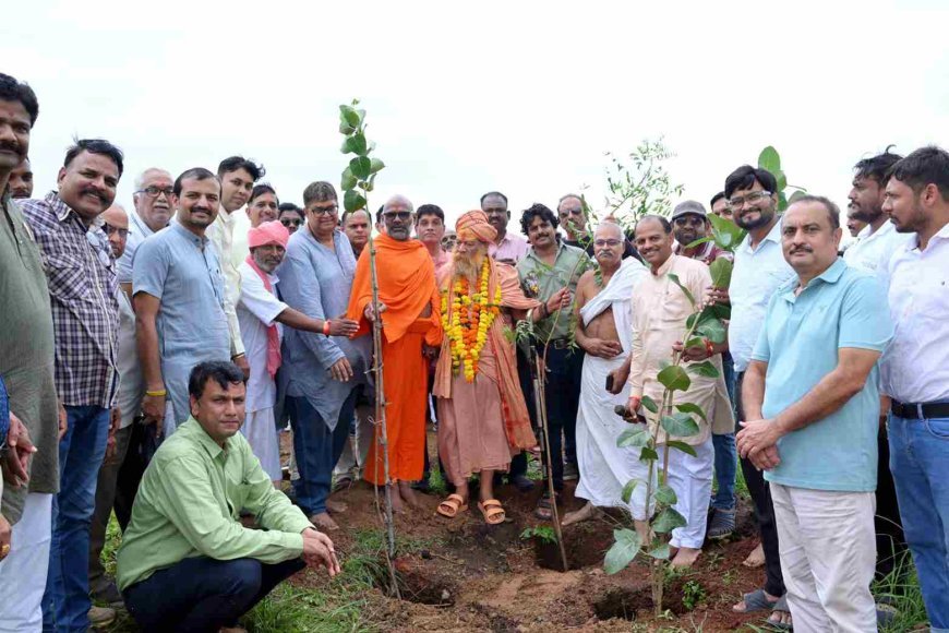हरियाली अमावस्या पर भाई-बहन की पहाड़ी पर हुआ त्रिवेणी वन रोपण अभियान का शुभारंभ, पद्मश्री महेश शर्मा और संतों की मौजूदगी में रोपी त्रिवेणी