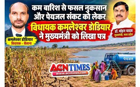 कम बारिश से फसल को नुकसान और पेयजल संकट गहराने का अंदेशा ! विधायक डोडियार ने CM से की रतलाम जिला सूखाग्रस्त व अभावग्रस्त घोषित करने की मांग